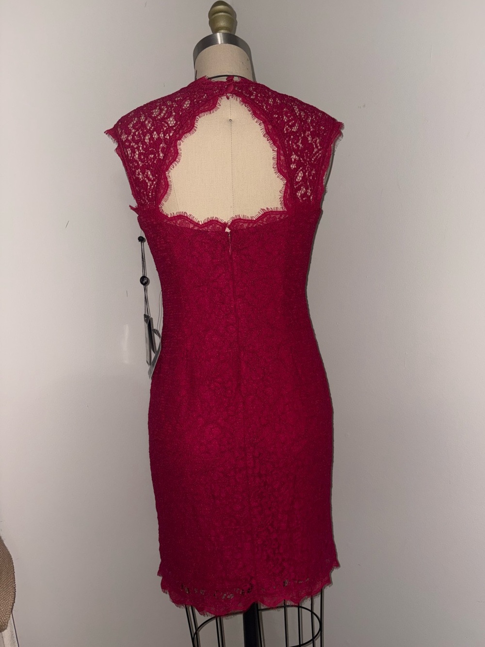 Adrianna Papell Cap Sleeve Lace Sheath Dress Crimson Pink Size 4 NWT $158 - Picture 5 of 8